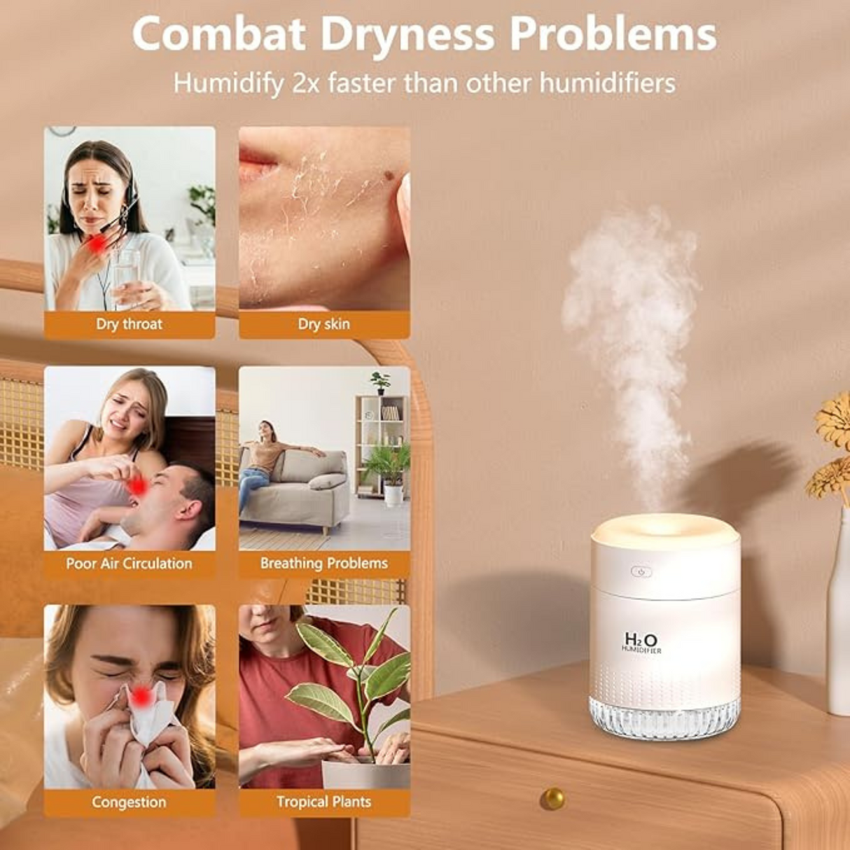 Portable Mini Humidifier 350ml