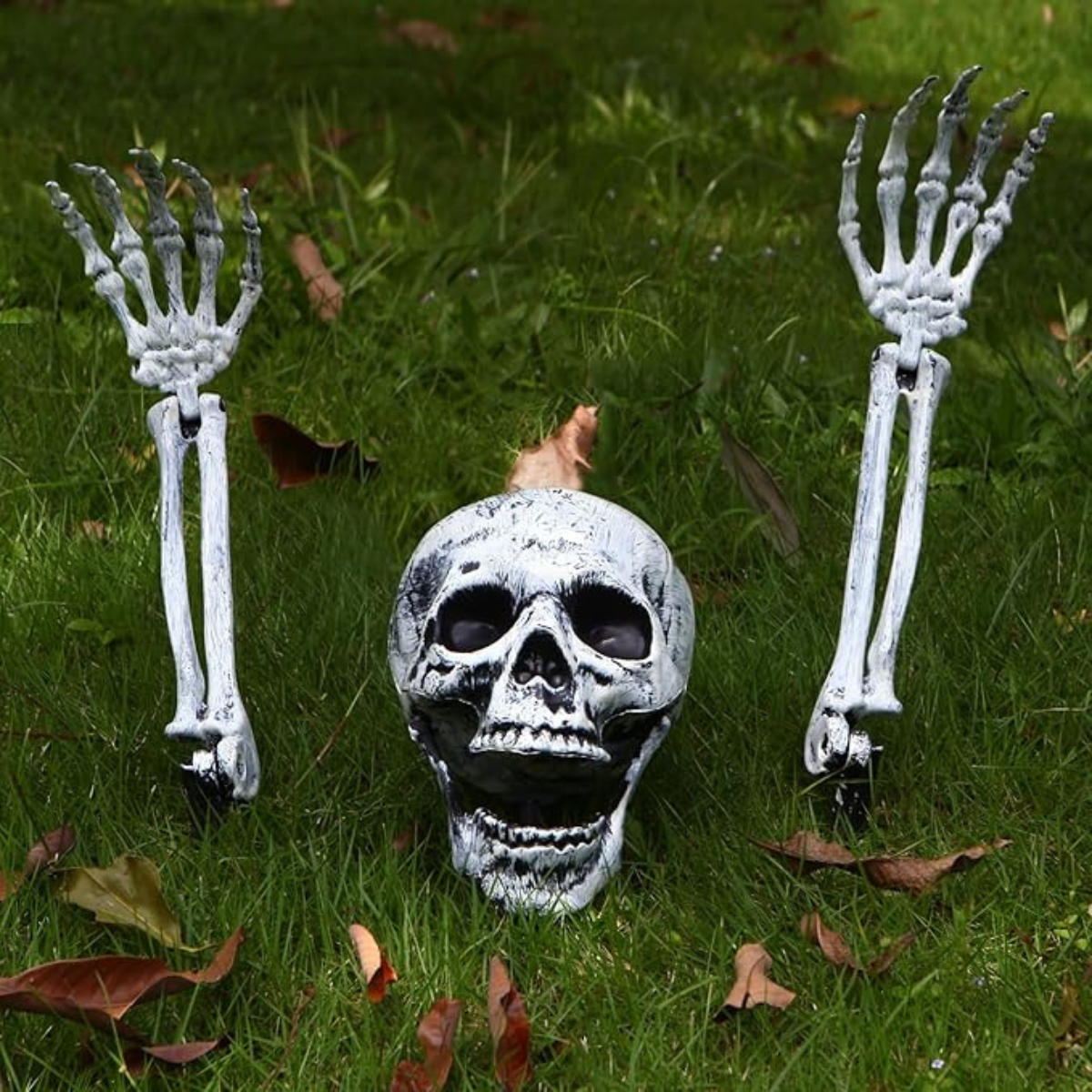 3 pc Fake Skeleton Head & Skeleton Arms Spooky Halloween Outdoor Decoration