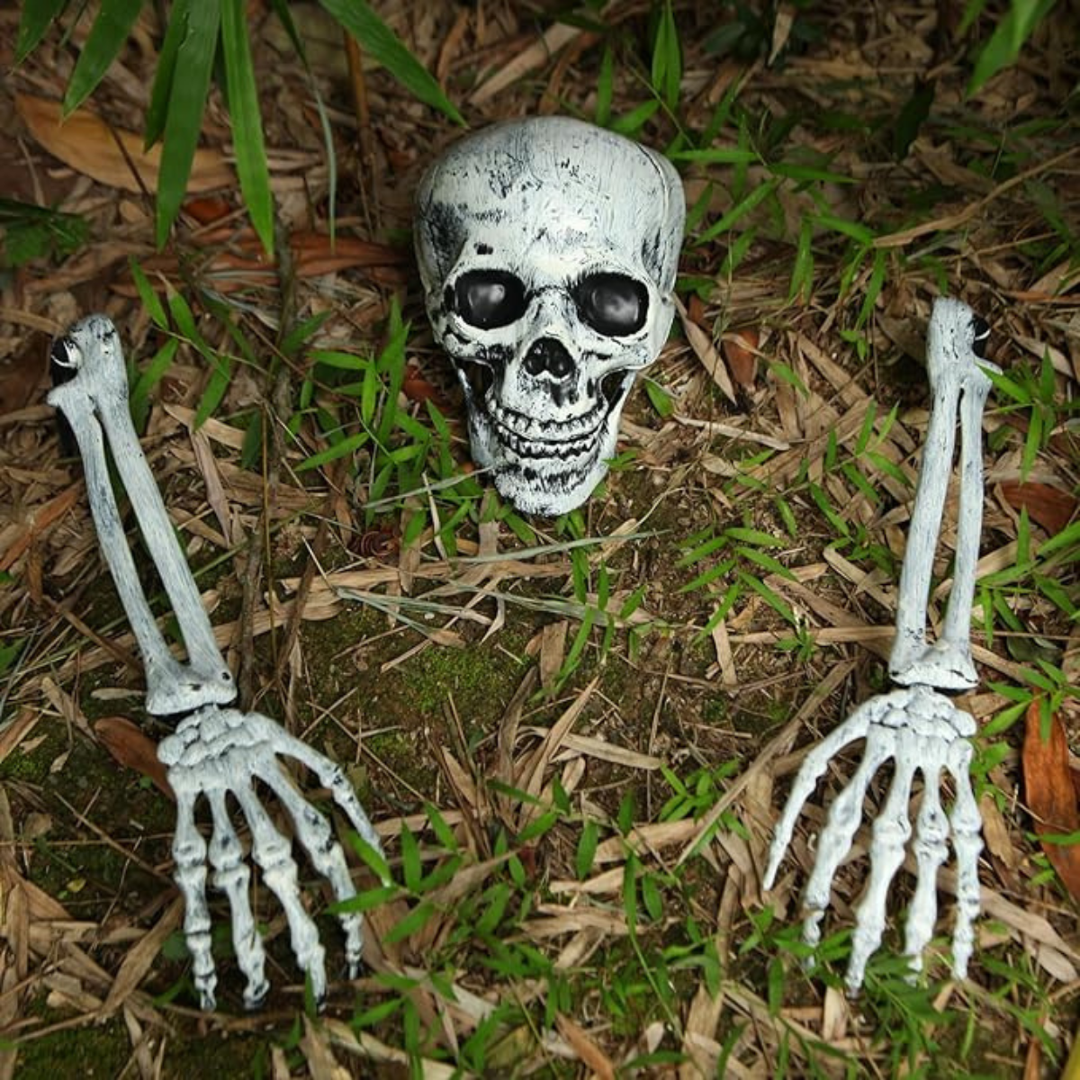 3 pc Fake Skeleton Head & Skeleton Arms Spooky Halloween Outdoor Decoration