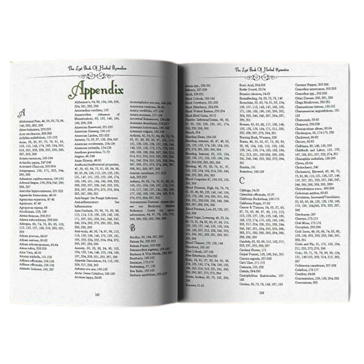 The Lost Book of Herbal Remedies