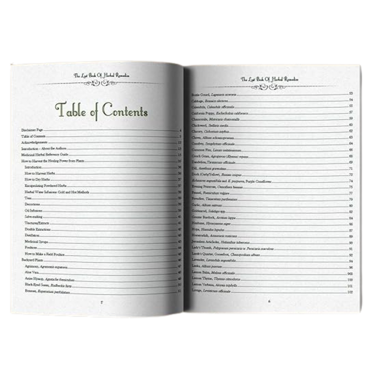 The Lost Book of Herbal Remedies