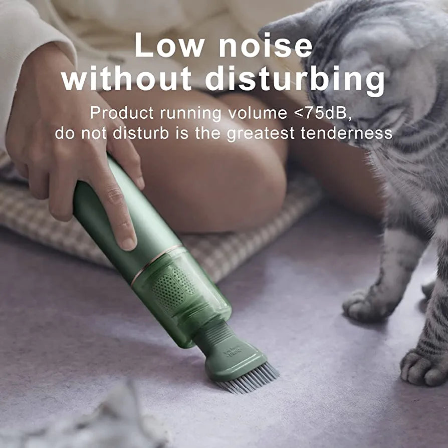Cordless Mini Vacuum Cleaner