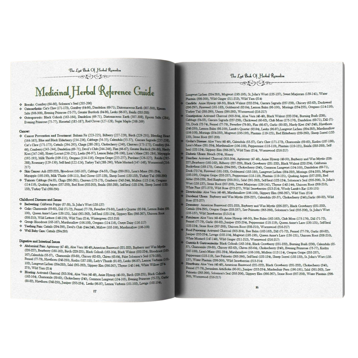 The Lost Book of Herbal Remedies