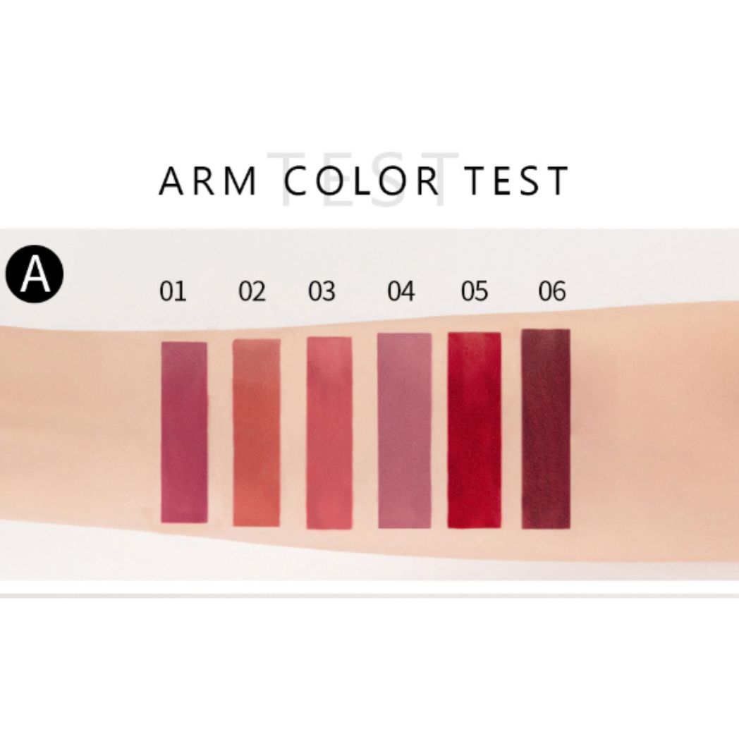 6 piece Handaiyan Waterproof Matte Liquid Lipstick Set