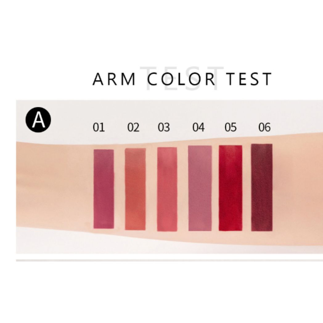 6 piece Handaiyan Waterproof Matte Liquid Lipstick Set