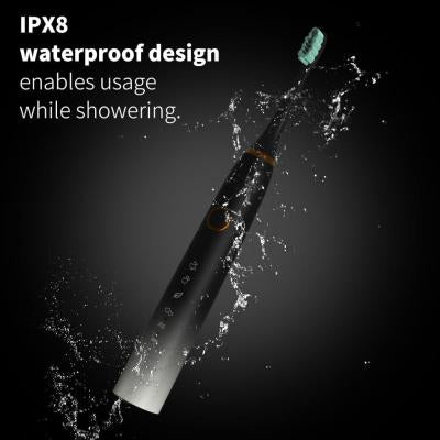 Eoryeo Dual Powered Toothbrushes