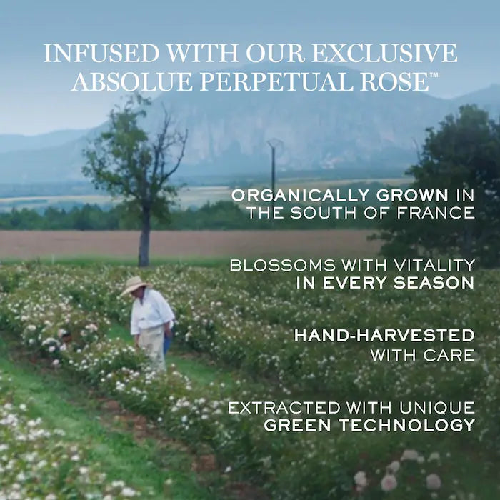 Lancome Absolue Soft Cream Facial Moisturizer