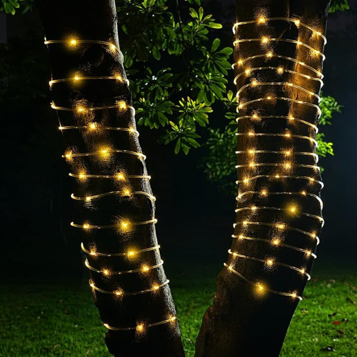 66 ft Outdoor Solar Rope Lights with Remote Control