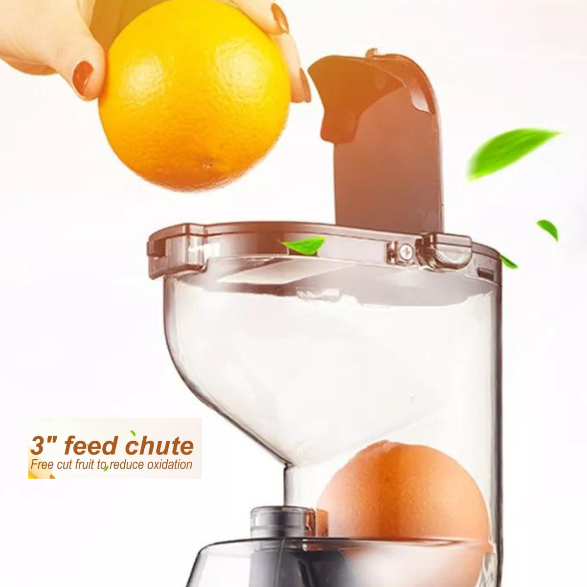 Slow Masticating Juicer Cold Press Juice Extractor