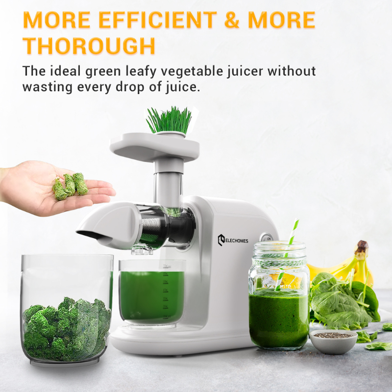 Elechomes Slow Masticating Cold Press Juicer SJE-070 (Open Box Condition)