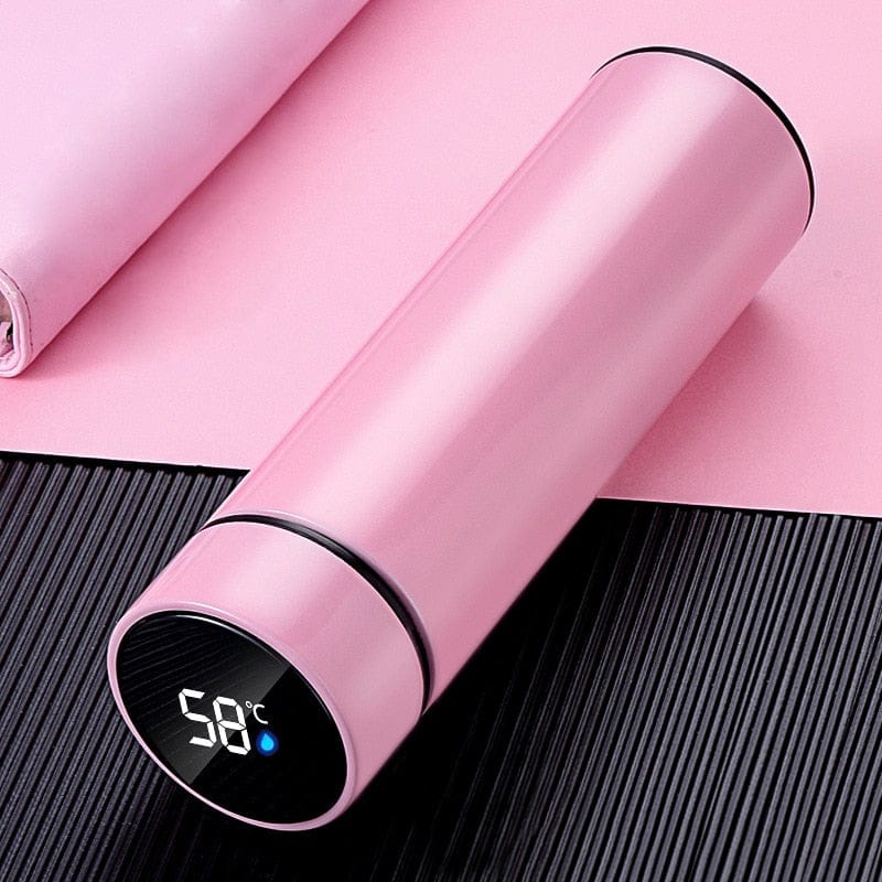 Stainless Steel Double Wall Insulation Tumbler With Smart LED Temperature Display