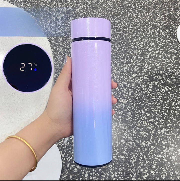 Stainless Steel Double Wall Insulation Tumbler With Smart LED Temperature Display