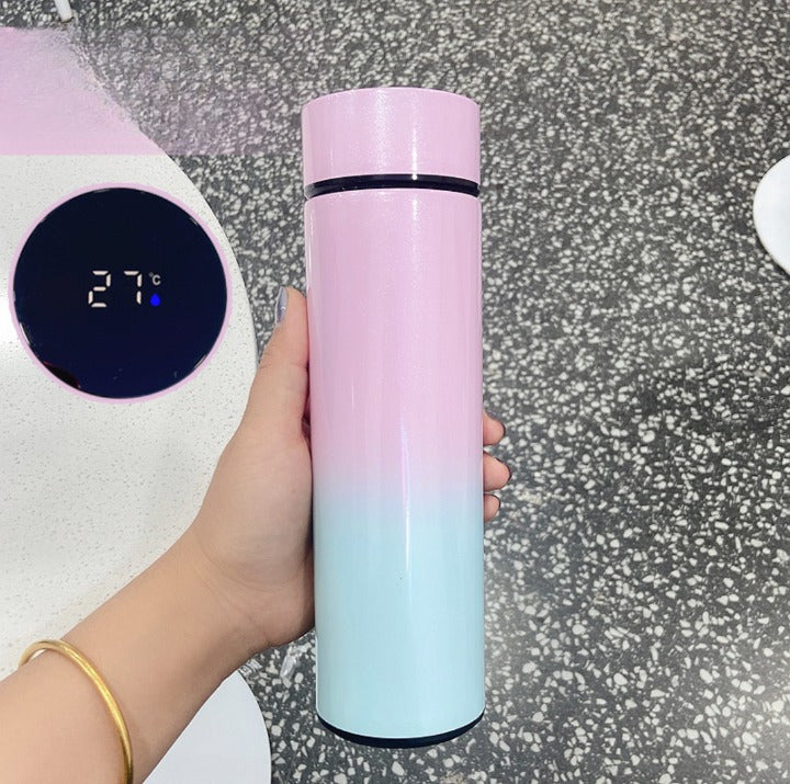 Stainless Steel Double Wall Insulation Tumbler With Smart LED Temperature Display