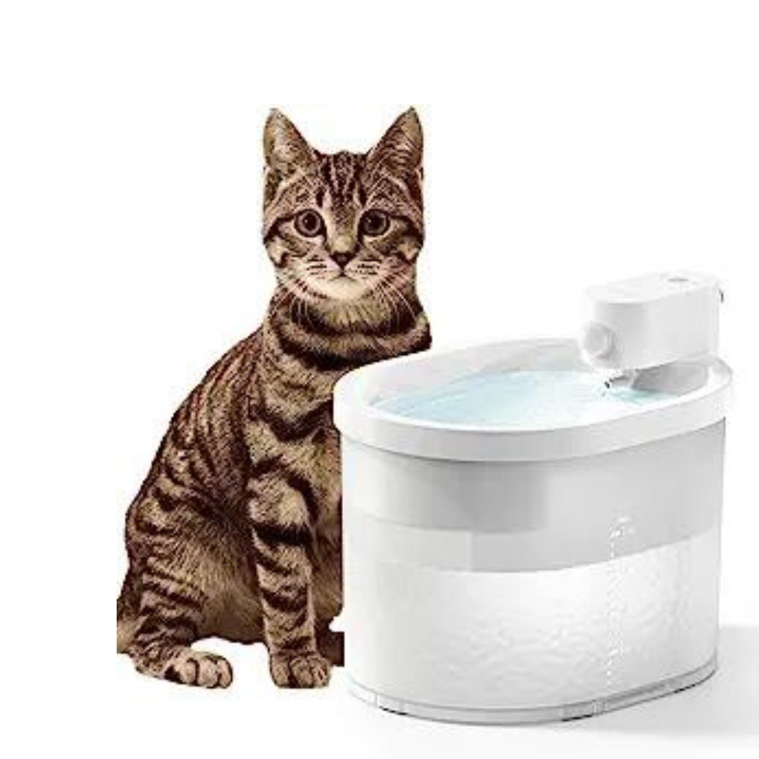2L Wireless & Battery Operated Automatic Pet Water Fountain for Cats and Dogs