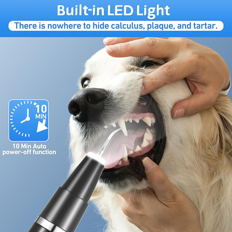 Dog Tooth Plaque Remover with 3-Sided Tooth Brush Kit