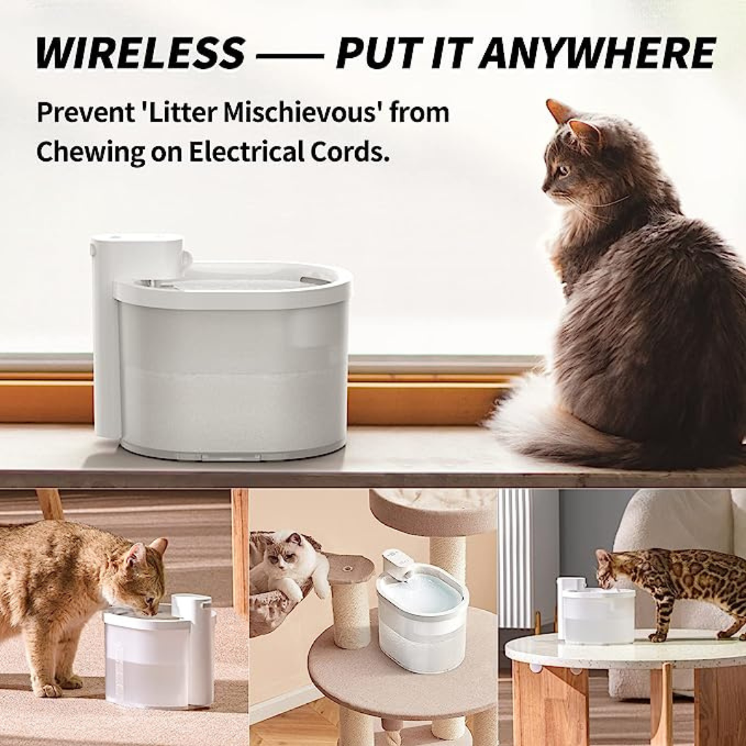 2L Wireless & Battery Operated Automatic Pet Water Fountain for Cats and Dogs