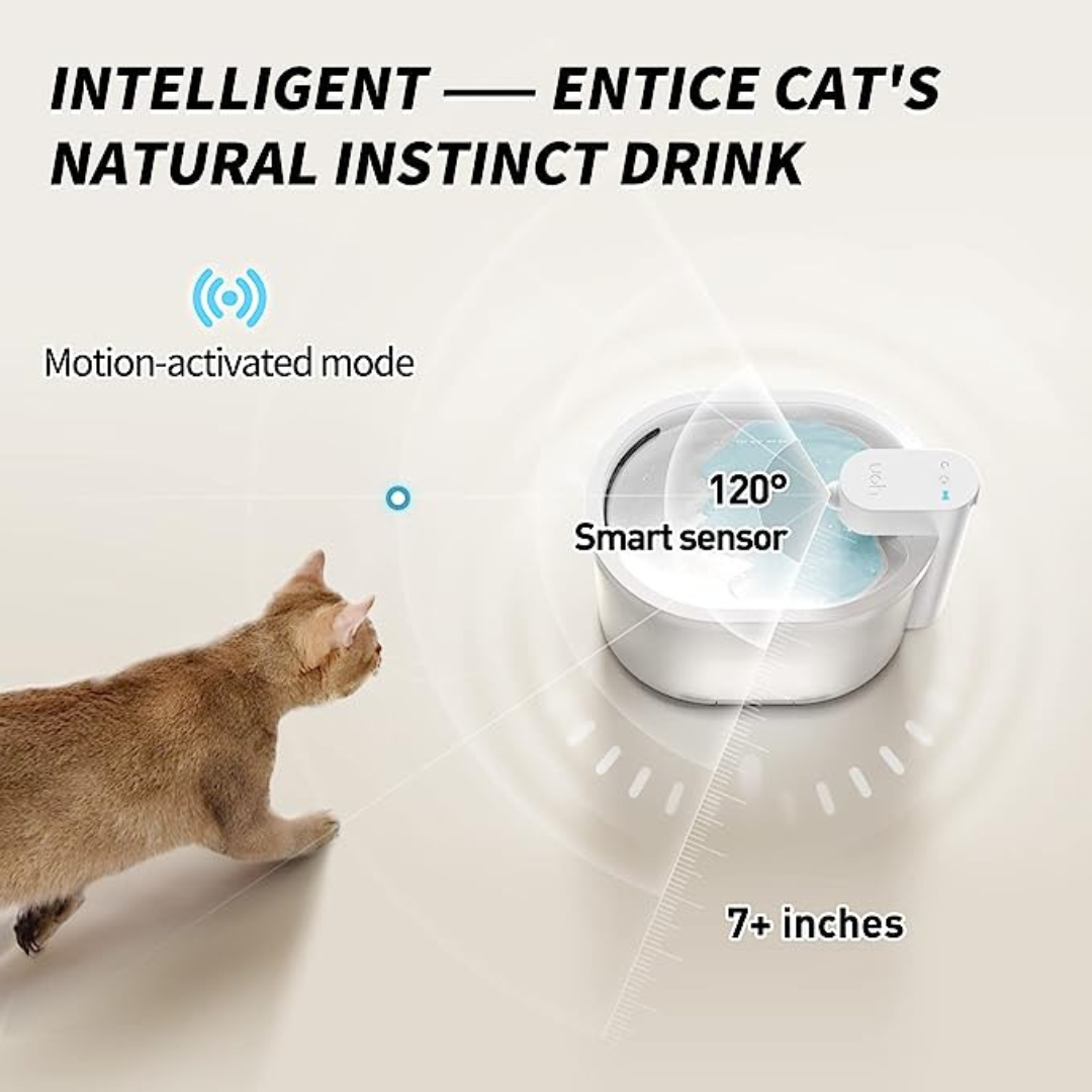 2L Wireless & Battery Operated Automatic Pet Water Fountain for Cats and Dogs