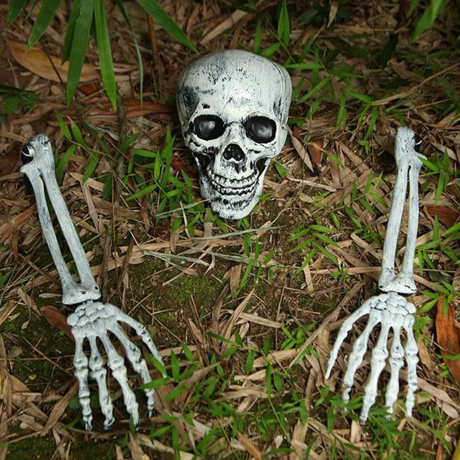 3pc Fake Skeleton Head & Skeleton Arms Spooky Halloween Outdoor Decoration