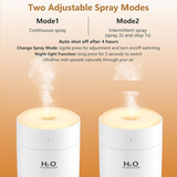Portable Mini Humidifier 350ml