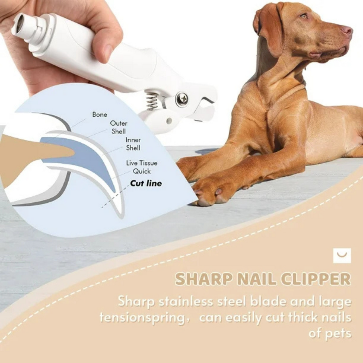 2-in-1 Dog Nail Grinder & Clippers USB Rechargeable with 2 LED Lights