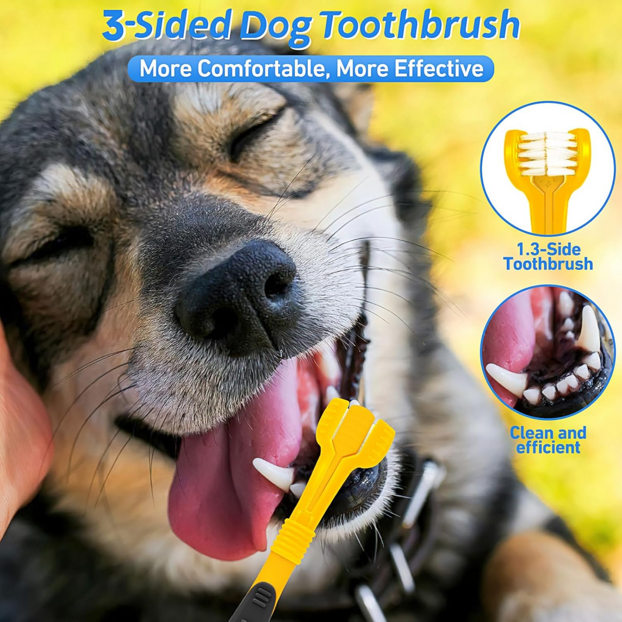 Dog Tooth Plaque Remover with 3-Sided Tooth Brush Kit