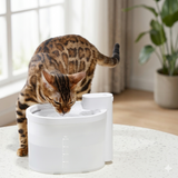 A cat drinking from a wireless 2L cat water fountain placed on a white table. The lifestyle scene features soft, natural lighting and a minimalist home interior background.